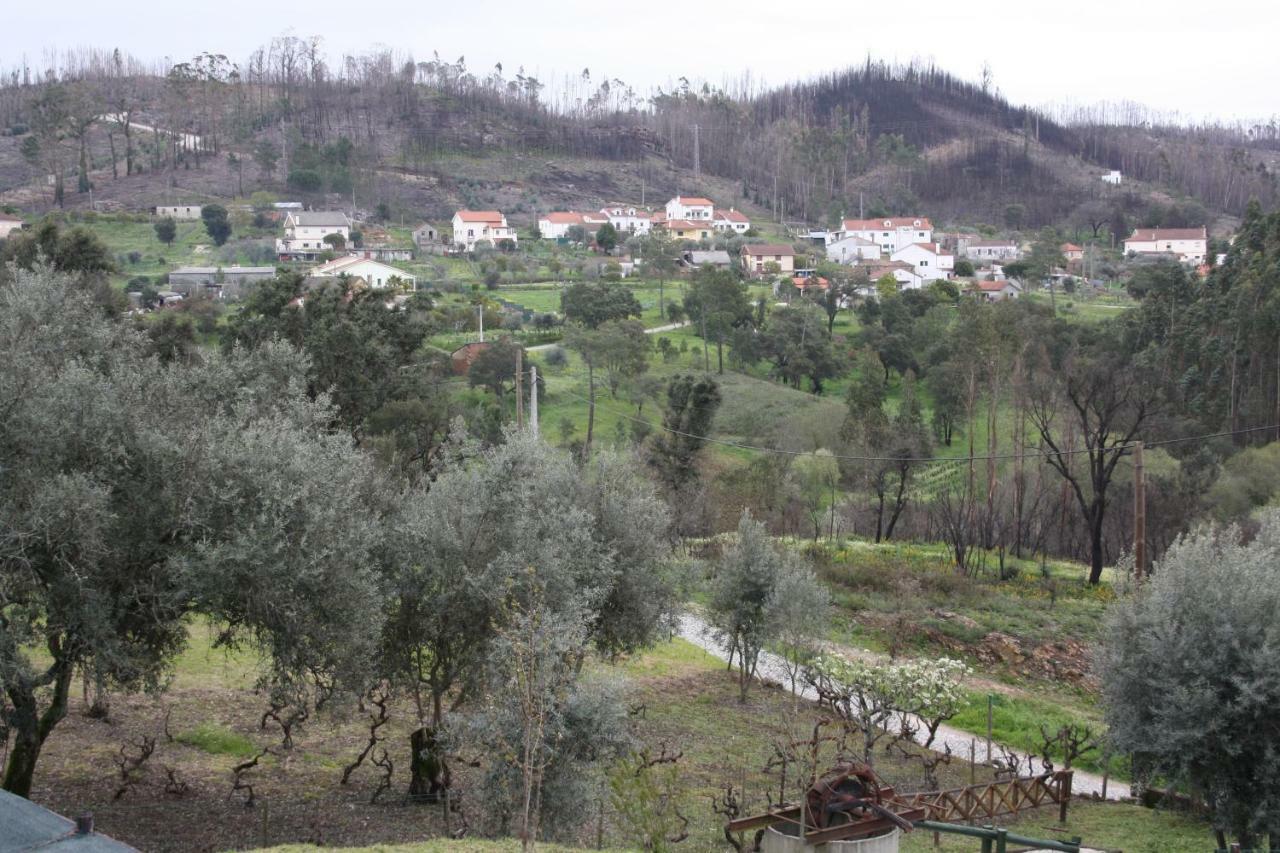 Quinta De S. Luis - Valada Villa Figueiro Dos Vinhos Exterior photo