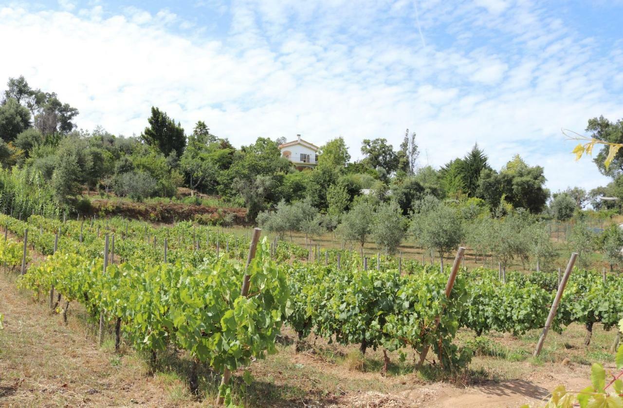 Quinta De S. Luis - Valada Villa Figueiro Dos Vinhos Exterior photo